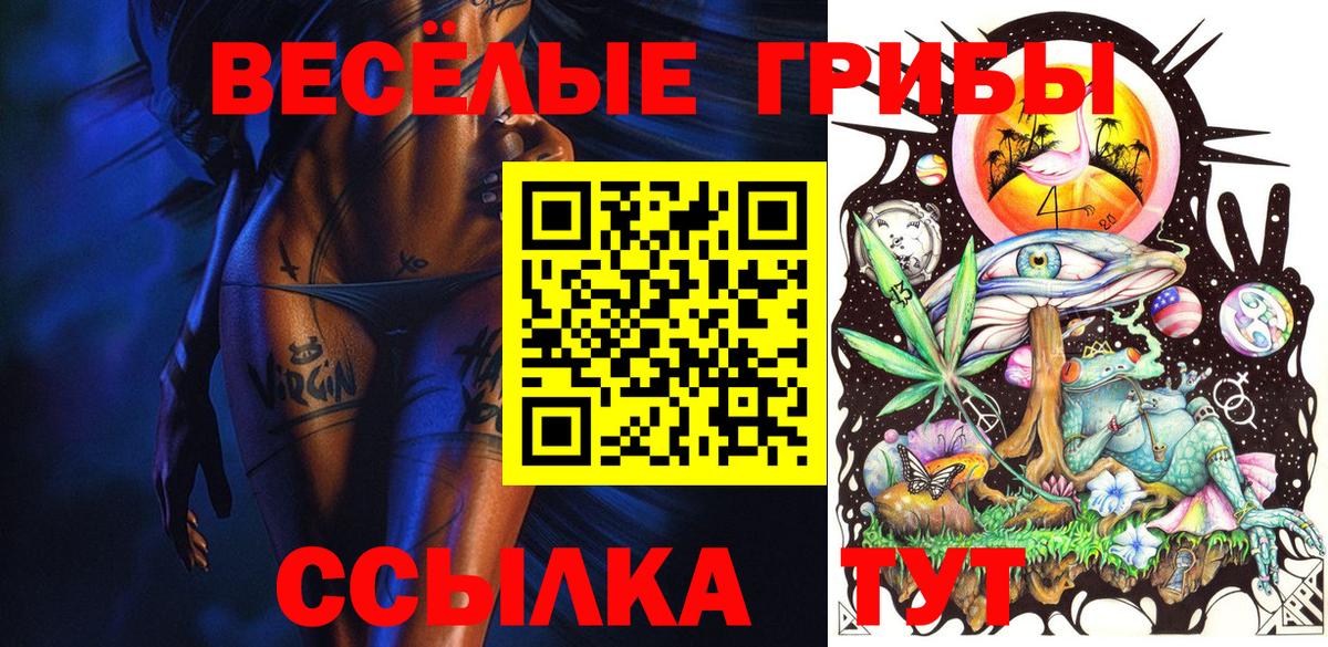 Псилоцибиновые грибы GOLDEN TEACHER Гатчина