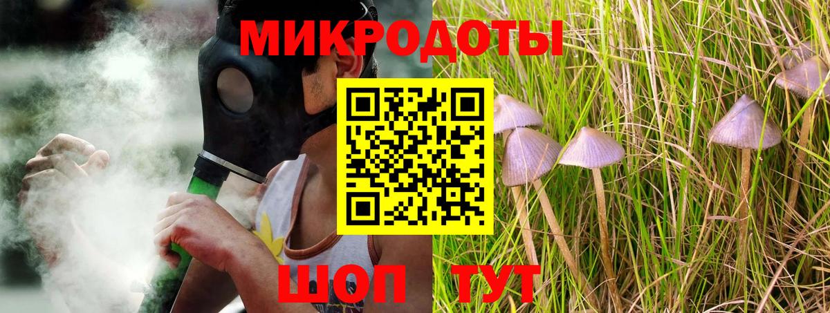 наркотики  Псилоцибиновые грибы GOLDEN TEACHER  Вход с VPN  Гатчина  Галлюциногенные грибы MAGIC MUSHROOMS 
